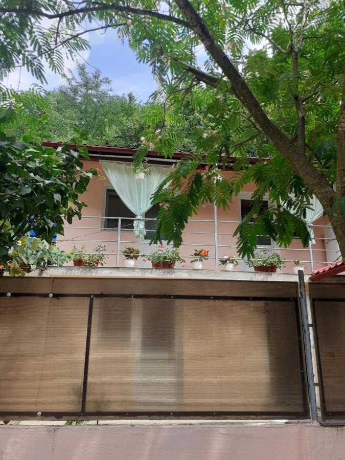 Apartamento Casa Iza Băile Herculane Exterior foto